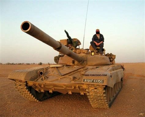 mudding gun Algeria|algerian land forces tanks.